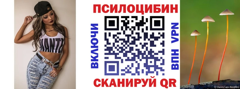 Псилоцибиновые грибы мицелий  Купить где  Михайловка 