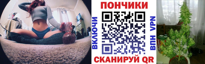 Марихуана тримм  Купить где  Михайловка 